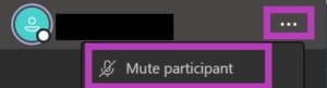 Teams Mute Participant option